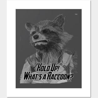 What's a Raccoon? Posters and Art